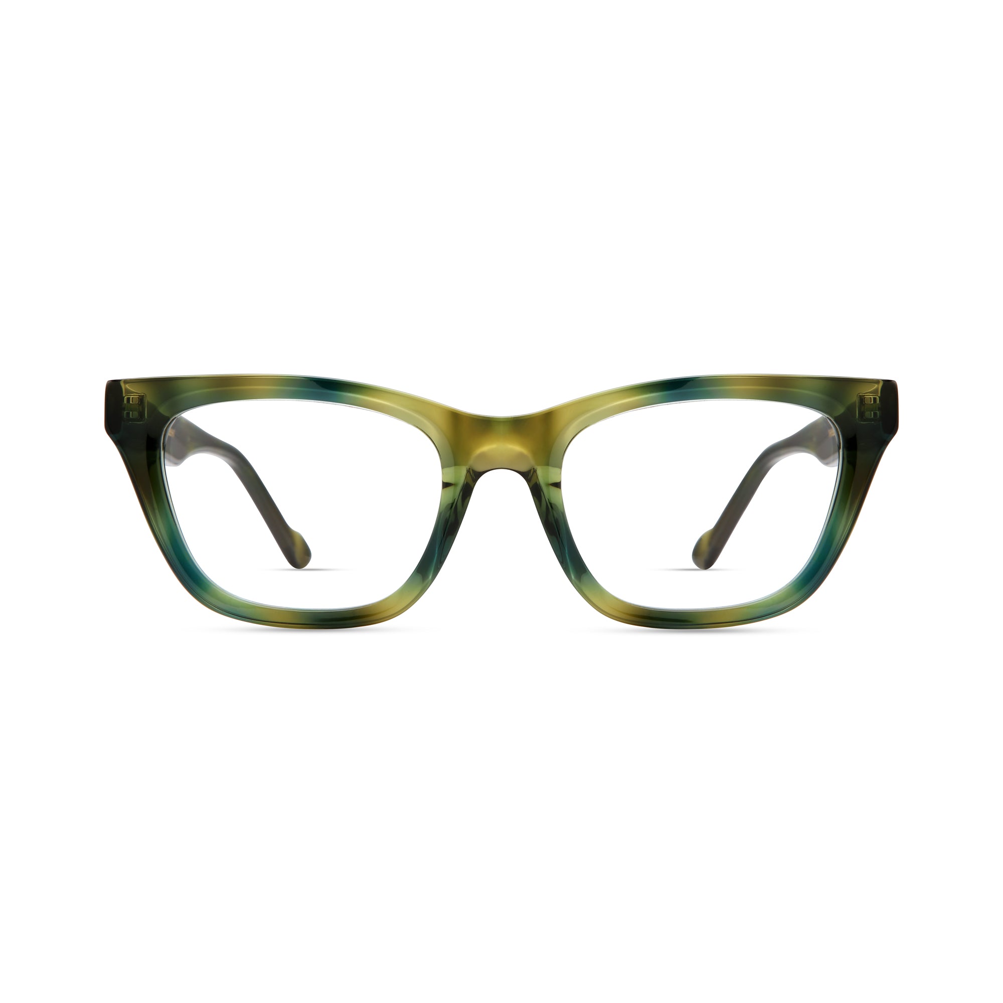 Green Blue Tortoise