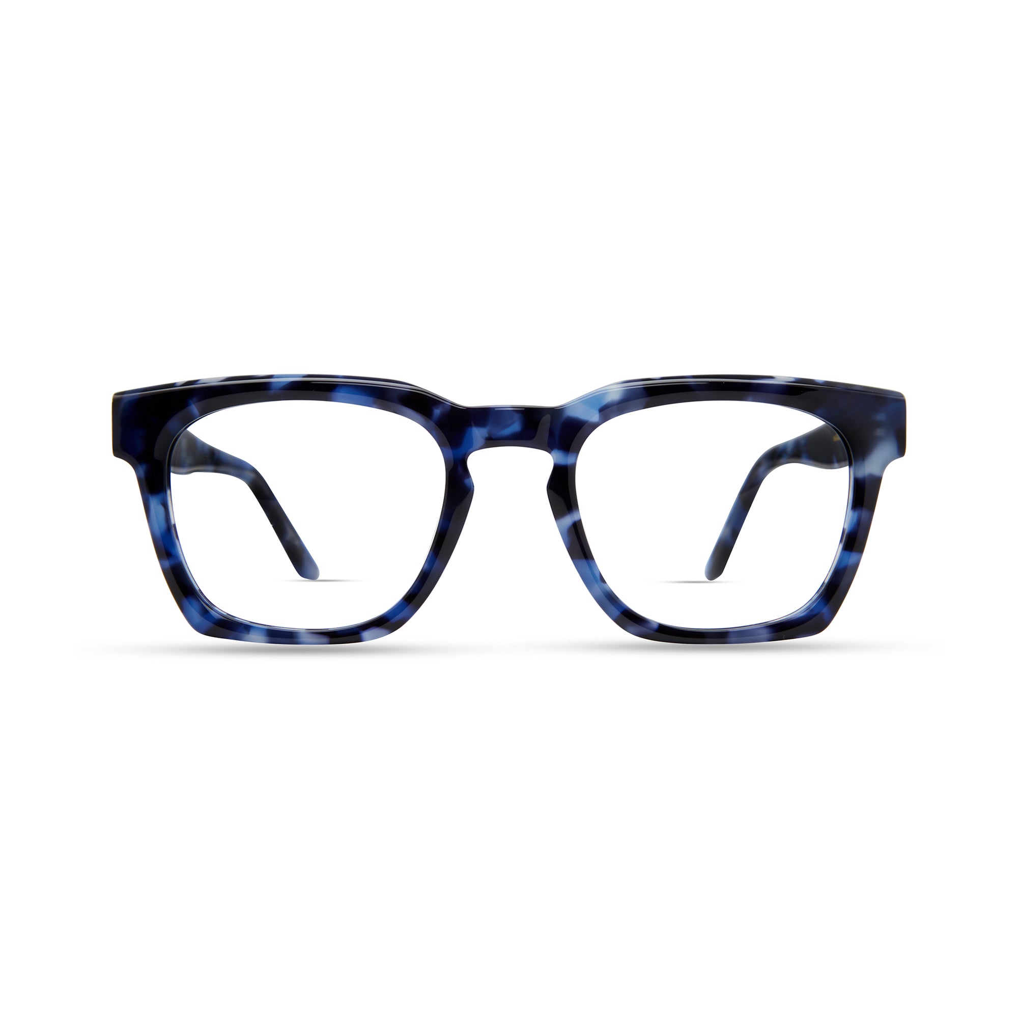 Blue Tortoise
