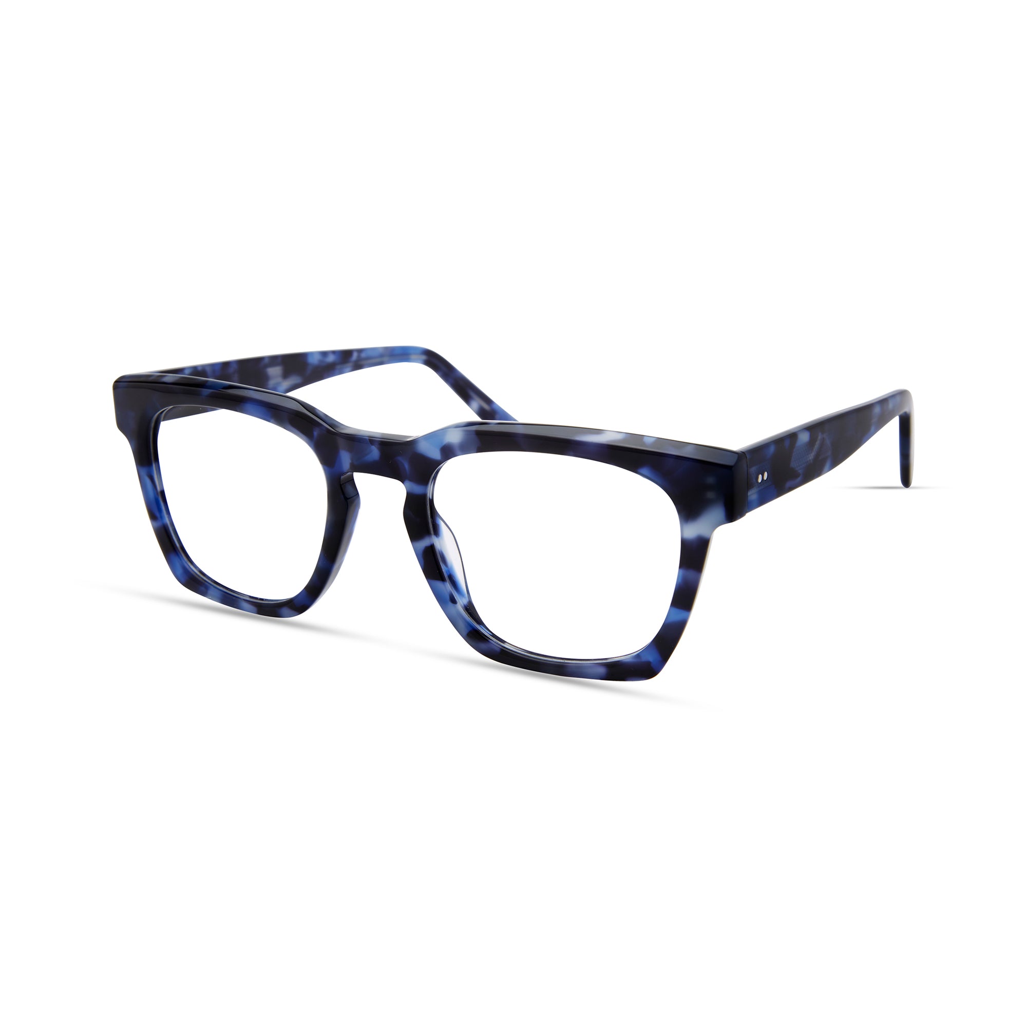 Blue Tortoise