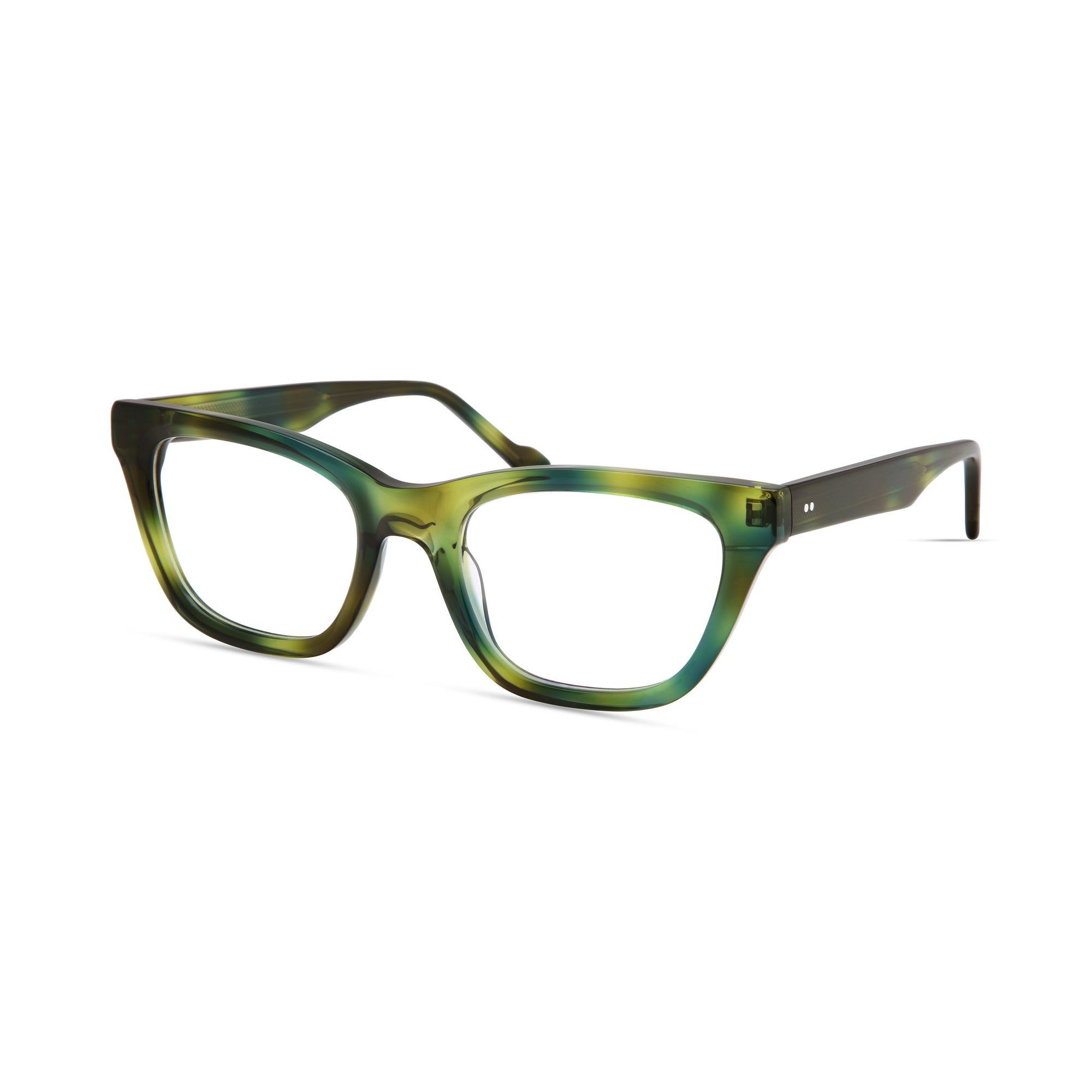 Green Blue Tortoise